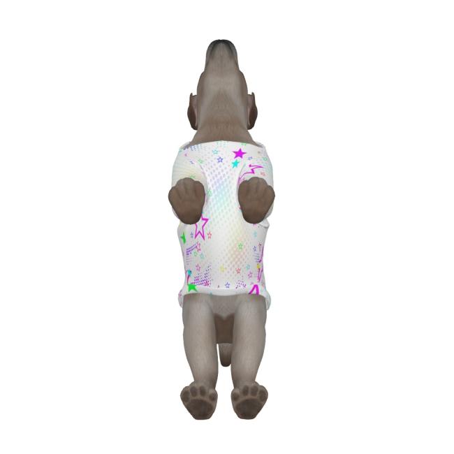 Hunde Hoodie, Pullover für Hunde, mit buntem Hundemotiv Motte2